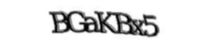 Security check image, please type the characters shown